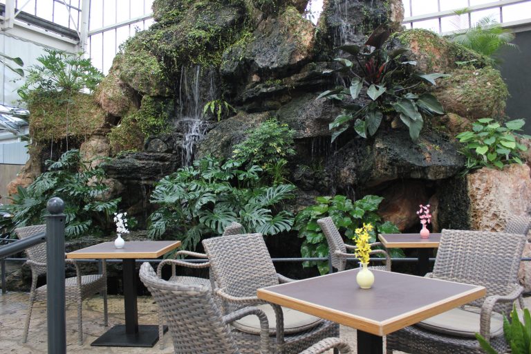 Palmecafé Wasserfall